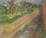 Vincent Van Gogh Pollard Willows (nn04) oil painting reproduction